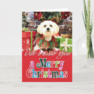 Christmas - Lhasa Apso - Jack Holiday Card