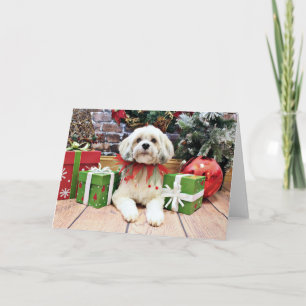 Christmas - Lhasa Apso - Muffie Holiday Card