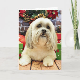 Christmas - Lhasa Apso - Solo Holiday Card