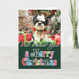 Christmas - Lhasa Apso X - Parker Holiday Card