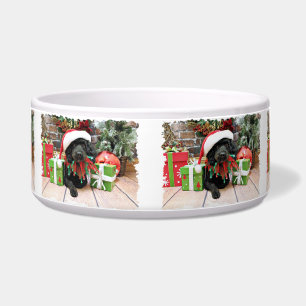 Christmas - LhasaPoo - Buddy