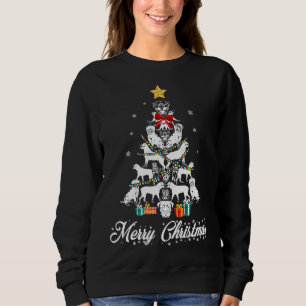 Christmas Light Rottweiler Tree   Women Men Kids Sweatshirt
