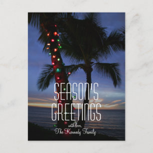 Christmas lights adorn a palm tree at sunset holiday postcard