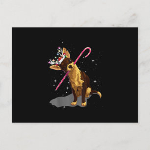 christmas lights chihuahua holiday postcard
