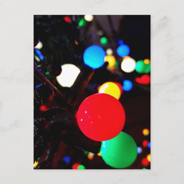 Christmas Lights Postcard (Front)