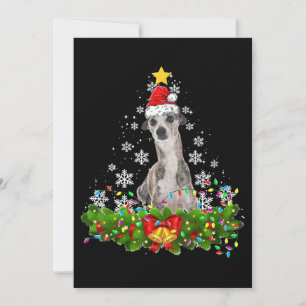 Christmas lights whippet funny dog pet christmas holiday card