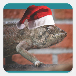 Christmas Lizard Square Sticker