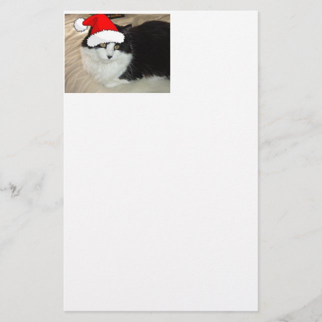 Christmas Long Haired Black and White Kitten Stationery (Front)