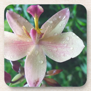 CHRISTMAS LOVE GIFT WOMEN , GIRLFRIEND MOM COASTER