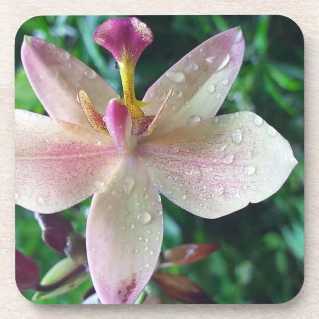 CHRISTMAS LOVE GIFT WOMEN , GIRLFRIEND MOM COASTER (Front)