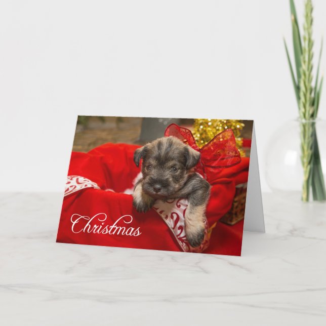 Christmas Love Holiday Card (Front)