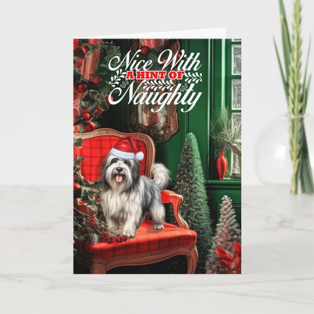 Christmas Lowchen Dog Naughty or Nice Holiday Card (Front)