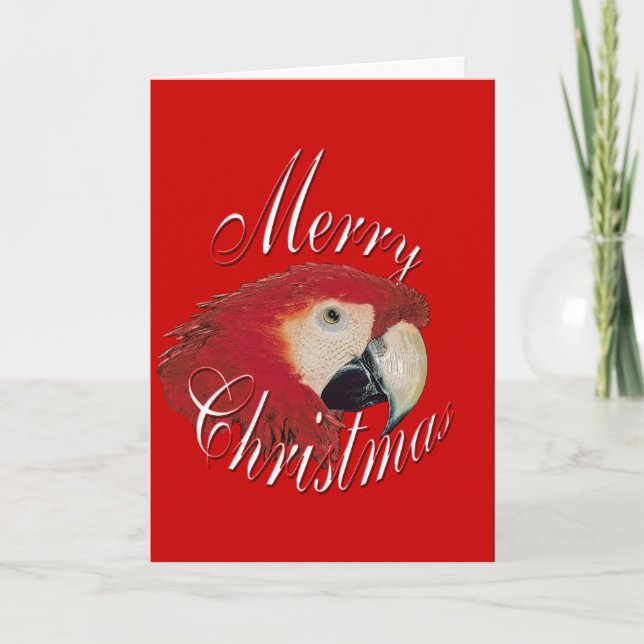 Christmas Macaw Holiday Card (Front)