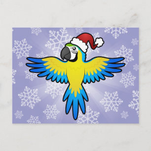 Christmas Macaw / Parrot Holiday Postcard