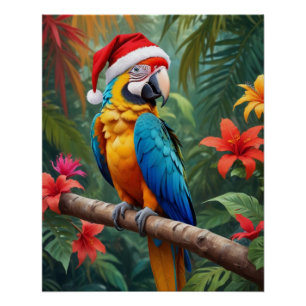 Christmas Macaw Wearing A Santa Hat-56483 Poster
