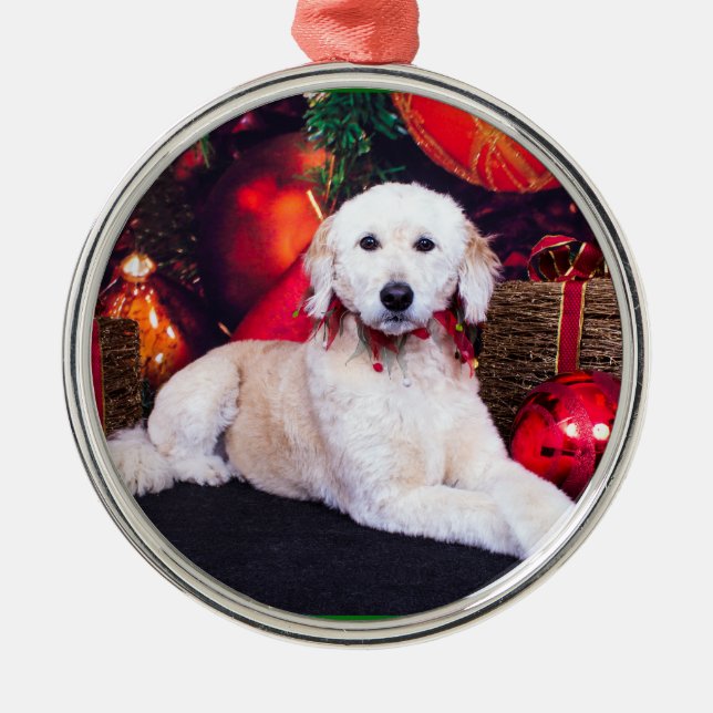 Christmas - Maggie - GoldenDoodle Metal Ornament (Front)