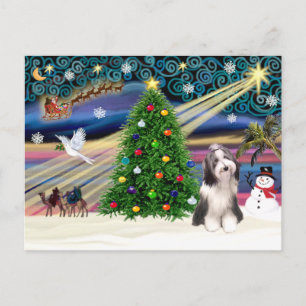 Christmas Magic Bearded Collie 4 Holiday Postcard