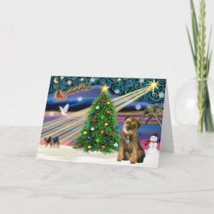 Christmas Magic Border Terrier Holiday Card