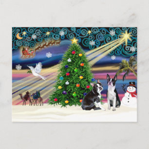 Christmas Magic-Boston Terrier (2) Holiday Postcard