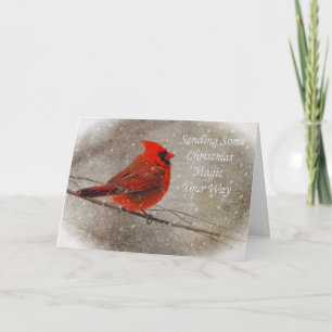 Christmas Magic Cardinal In Snow Card