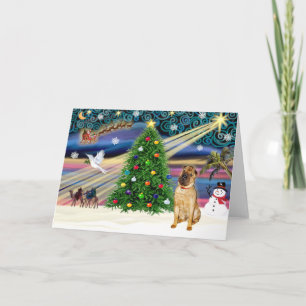 Christmas Magic Chinese Shar Pei (fawn) Holiday Card