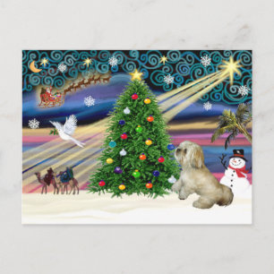 Christmas Magic Lhasa Apso 7 Holiday Postcard