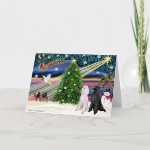 Christmas Magic Poodle (two Standard) Holiday Card
