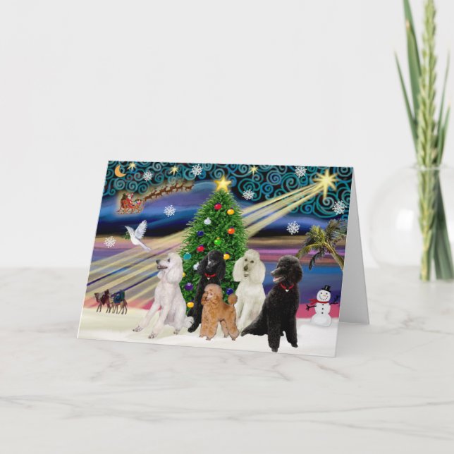 Christmas Magic Poodles - Standard (5) Holiday Card (Front)