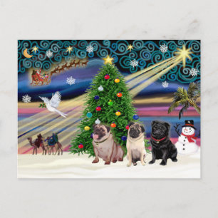 Christmas Magic Pugs (three, 2 fawn, 1 black) Holiday Postcard