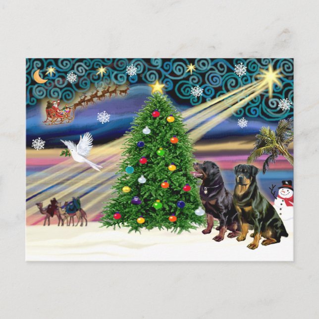 Christmas Magic Rottweilers (two) Holiday Postcard (Front)
