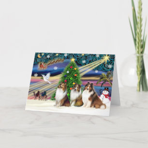 Christmas Magic Shetland Sheepdogs (3 Sable) Holiday Card