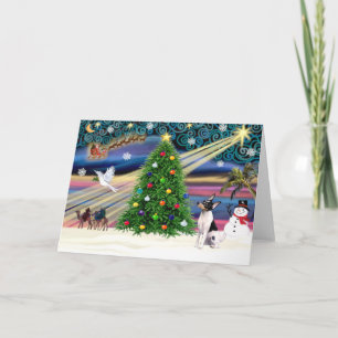 Christmas Magic Toy Fox Terrier Holiday Card