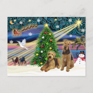 Christmas Magic - Two Airedales Holiday Postcard
