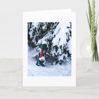 Christmas Mailbox 2 Holiday Card