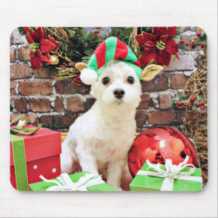 Christmas - Maltese - Quinn Mouse Pad