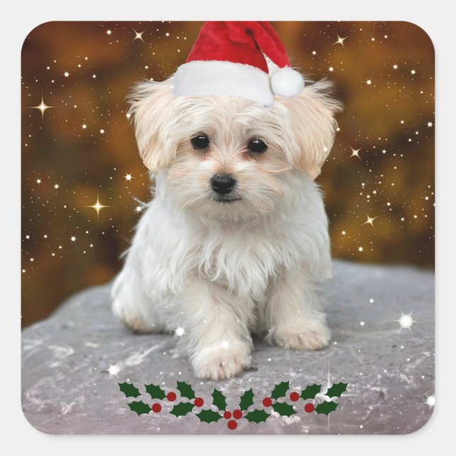 Christmas Maltese Sticker Sheet (Front)