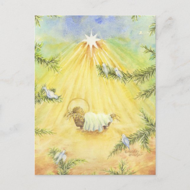 Christmas Manger Jesus with Adoring Doves Postcard (Front)