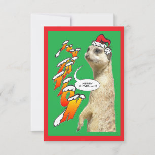 Christmas Meerkat Invitation Green X-Mas