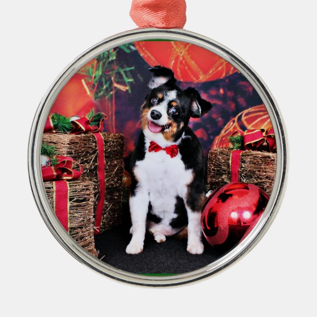 Christmas - Mini Aussie - Jack Metal Ornament (Front)
