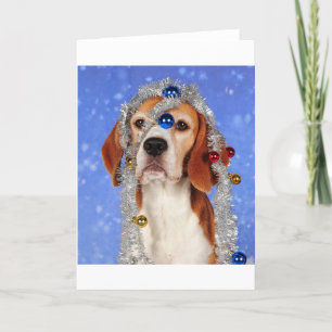 Christmas Mishap Holiday Card