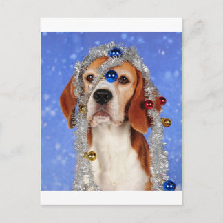 Christmas Mishap Holiday Postcard