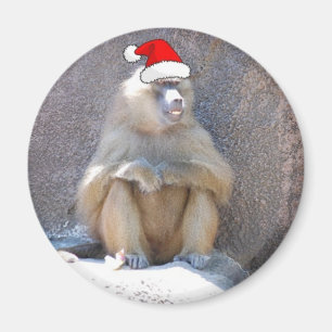 Christmas Monkeys and Baboons Magnet