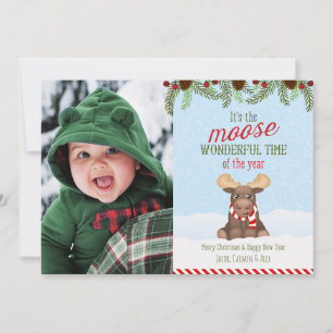 Christmas Moose - Photo Christmas Card