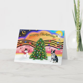 Christmas Music 2 - Australian Cattle Dog 1 Holiday Card
