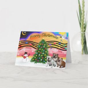 Christmas Music 2 - English Bulldogs (three) Holiday Card