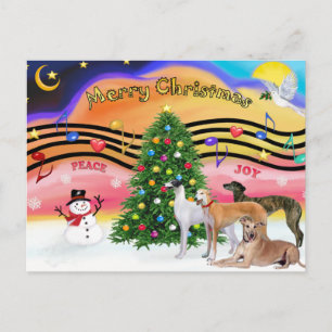Christmas Music 2 - Greyhounds (four) Holiday Postcard