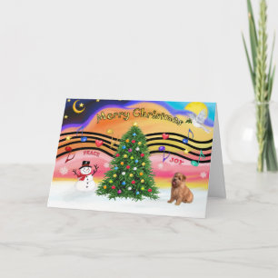 Christmas Music 2 - Norfolk Terrier Holiday Card