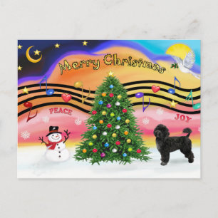 Christmas Music 2 - Portuguese Water Dog 2 Holiday Postcard