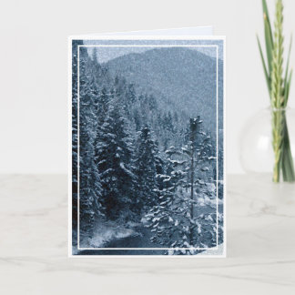 Christmas, New Year, Holiday - Blank