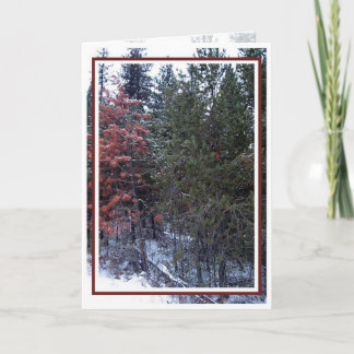 Christmas, New Year, Holiday - Blank